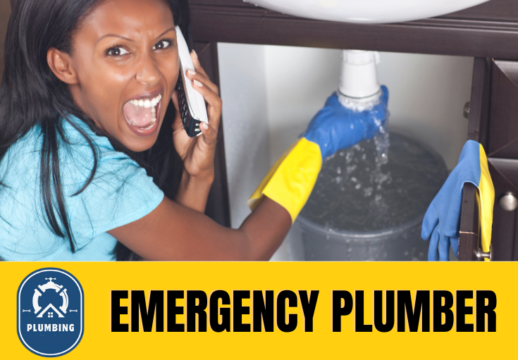 emergency plumber Northfleet