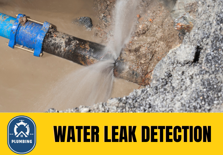 leak detection Northfleet